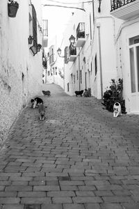 Rear view of man walking with dog