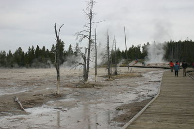 Panoramic shot of trees on snow covered land against sky
