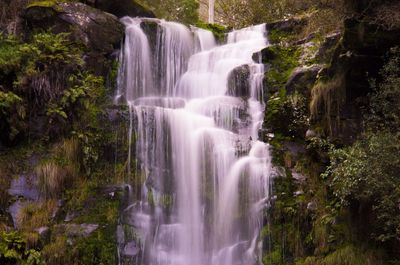 View of waterfall in forest