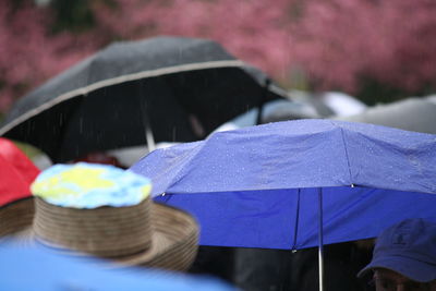 Close-up of wet umbrella