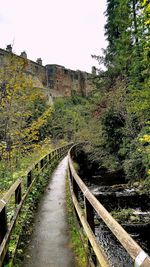 Footbridge amidst plants against clear sky