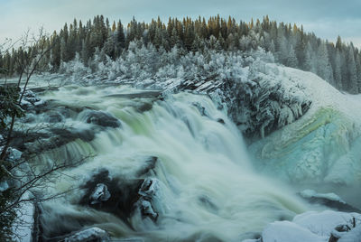 Scenic view of river flowing in forest during winter
