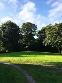 Trees on field against sky