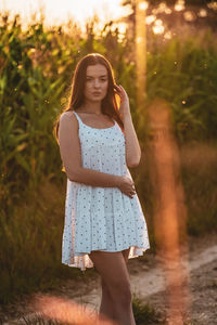 Young beautiful woman in white dress in corn field.