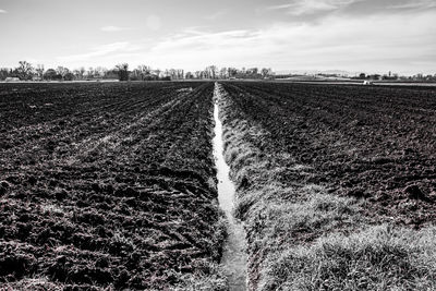 Scenic view of agricultural field against sky