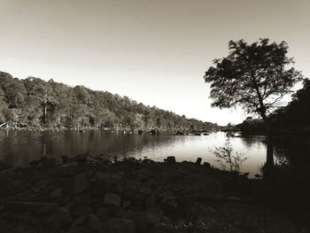 Scenic view of trees against clear sky