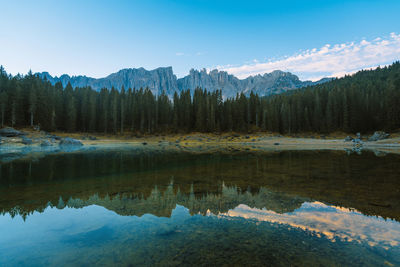 Scenic view of lake in forest against sky