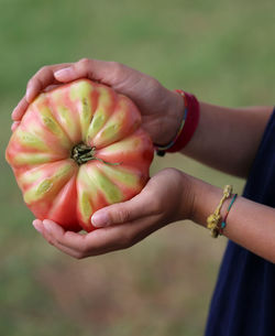 Close-up of woman holding fruit