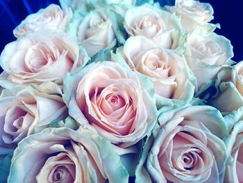 Close-up of rose bouquet