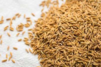 Close-up of wheat on table