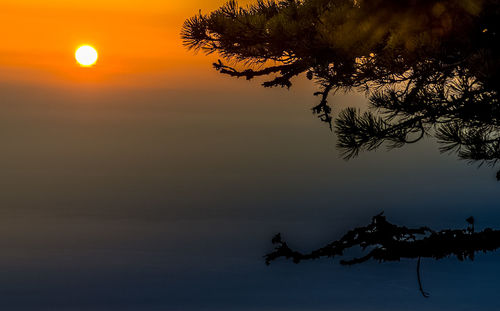 Silhouette tree against sky during sunset