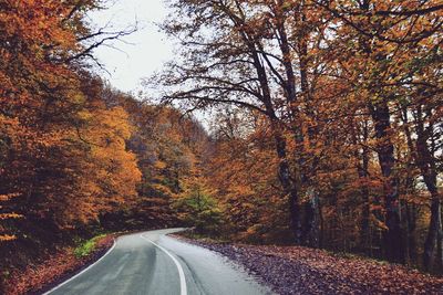 Road amidst trees in forest during autumn