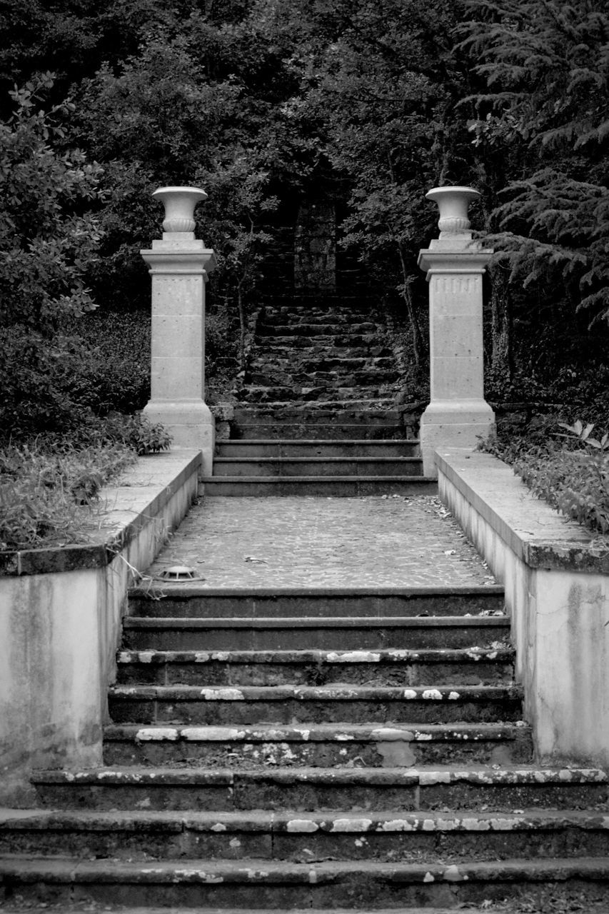 STEPS LEADING TOWARDS PARK