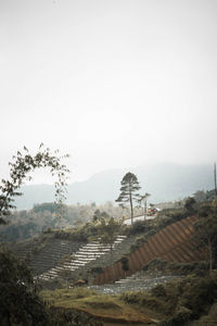 High angle view of houses and trees against sky