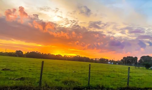 Scenic view of field against sky during sunset