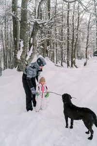 Side view of dog on snow covered field