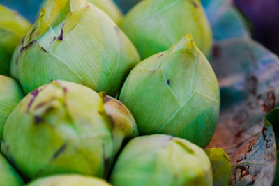 Close-up of fruits