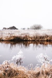 Scenic view of lake against clear sky