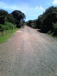 Road amidst trees against sky