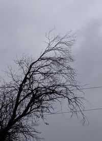 Low angle view of bare tree against sky