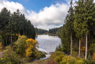 Scenic view of lake by trees against sky