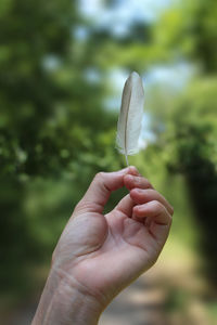 Close-up of hand holding plant