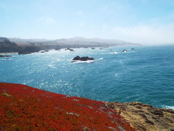 Scenic view of sea against sky