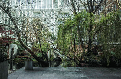 Walkway amidst trees in city