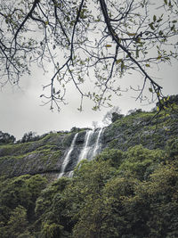 Scenic view of waterfall in forest against sky