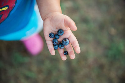 Close-up of hand holding blueberries