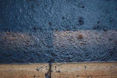 Close-up of textured surface