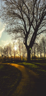 Bare trees on field against sky during sunset