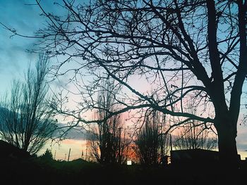 Silhouette bare trees against sky during sunset