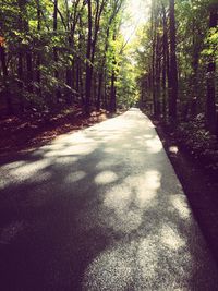 Road amidst trees