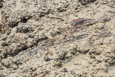 High angle view of sand on beach