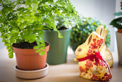 Close-up of potted plants on table