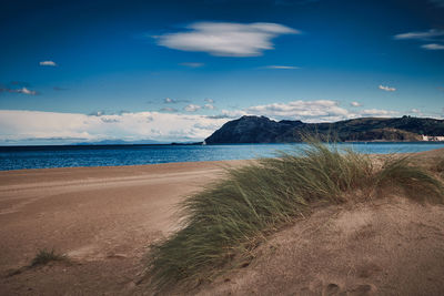 Scenic view of beach against blue sky