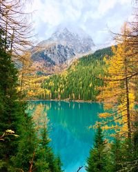 Scenic view of lake by trees against sky during autumn