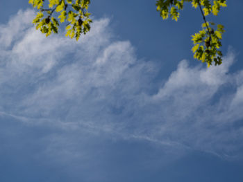 sky