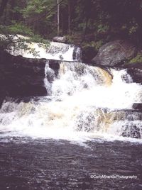 Scenic view of waterfall in forest