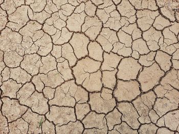 Full frame shot of cracked land