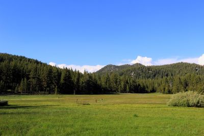 Scenic view of green landscape and mountains against sky