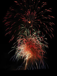 Low angle view of firework display at night