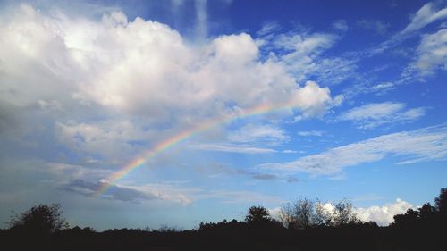 Low angle view of trees against cloudy sky