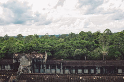 Plants and trees by lake against sky