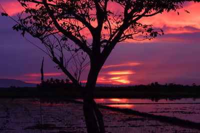 Silhouette tree by lake against romantic sky at sunset