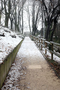 Footpath amidst bare trees during winter