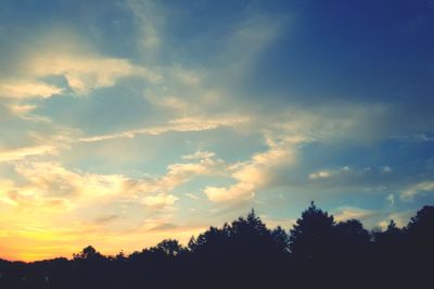 Low angle view of silhouette trees against sky at sunset