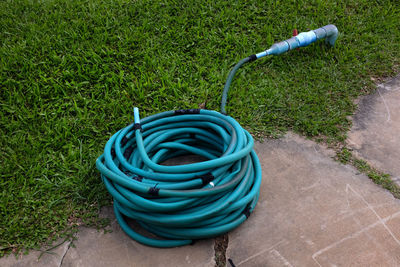 High angle view of grass