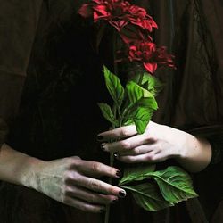 Cropped image of woman holding leaf